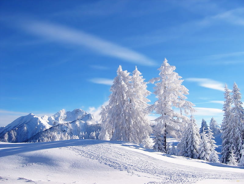 Winter Landscape, sunny, bonito, clouds, snowy, splendor, beauty, lovely, view, winter time, sky, trees, winter splendor, winter, tree, sunny winter, snow, mountains, peaceful, nature, white, landscape, HD wallpaper