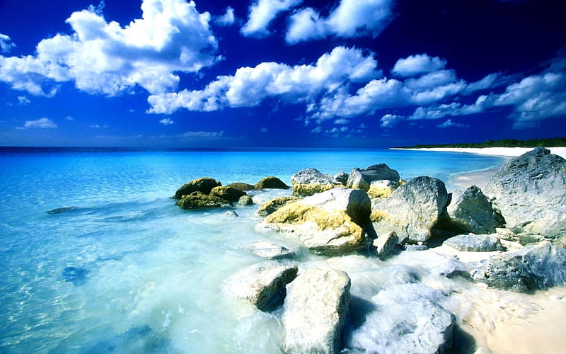 Sea Shore Photos, Download The BEST Free Sea Shore Stock Photos & HD Images