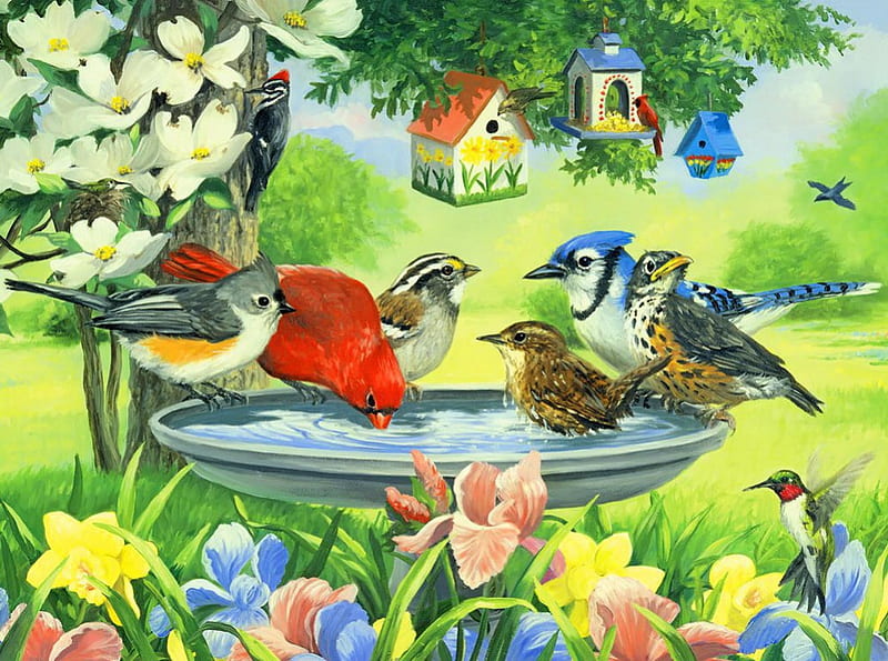 Birdbath, pretty, grass, bonito, birdhouses, sweet, painting, flowers, friends, art, lovely, birds, spring, freshness, cute, tree, summer, blossoms, HD wallpaper
