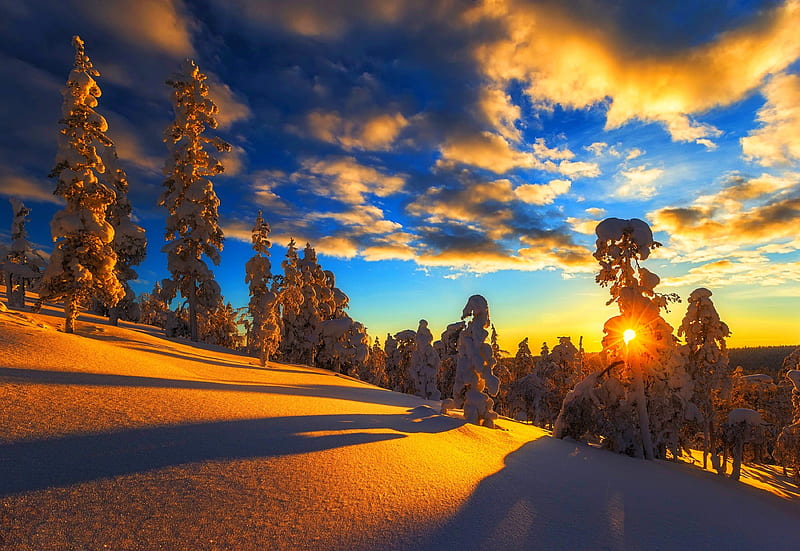 Winter Sunset, forest, sun, woods, sunset, trees, sky, clouds, winter ...