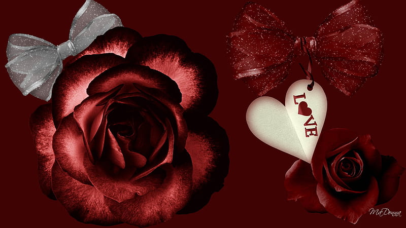 Dark Valentine, valentines day, goth, tag, gothic, dark, firefox persona, ribbons, roses, HD wallpaper