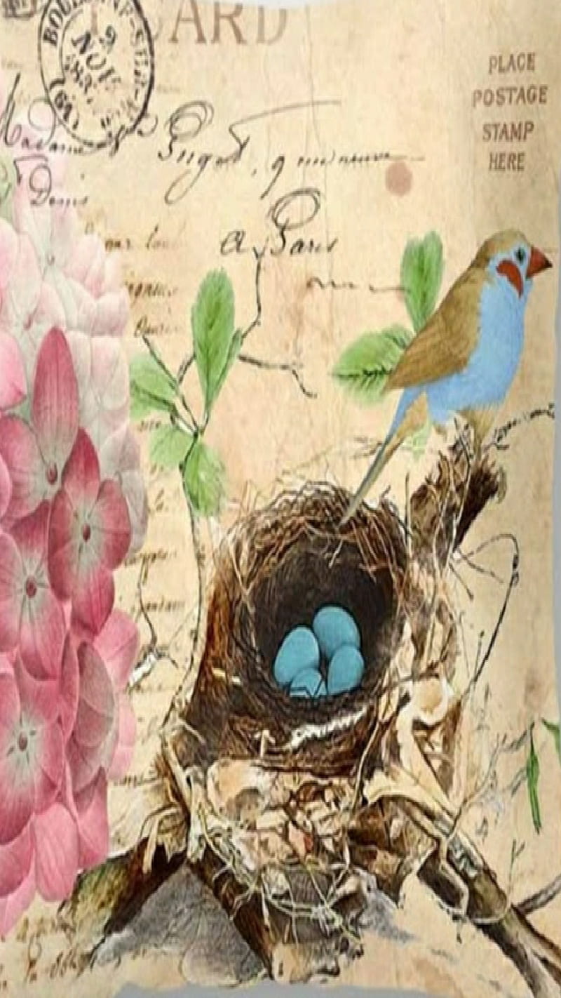 Blue Bird, calm, eggs, flowers, nature, nest, postage, vintage, HD phone wallpaper