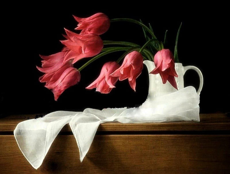 Dramatic Red Tulip Still Life, red, table, art, cloth, hang, droop, graphy, drama, white, tulip, HD wallpaper