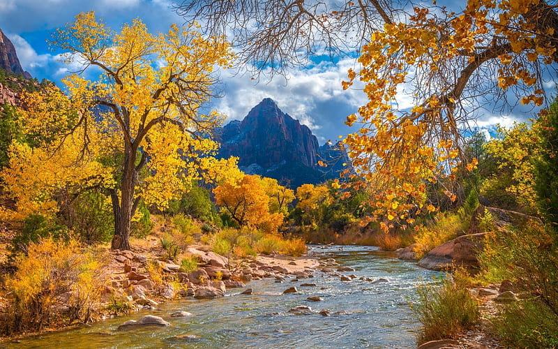 Autumn in Utah, USA, America, river, trees, mountain, autumn, national park, HD wallpaper