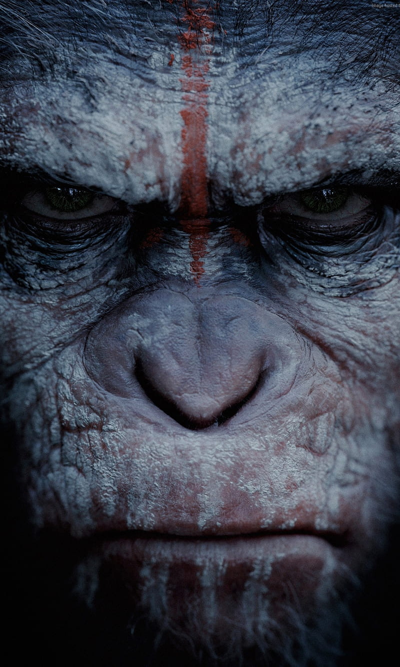 Planet of The Apes, guerra, HD phone wallpaper | Peakpx