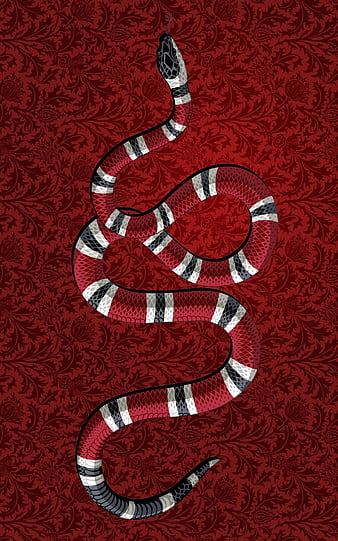 Gucci snake HD phone wallpaper  Peakpx