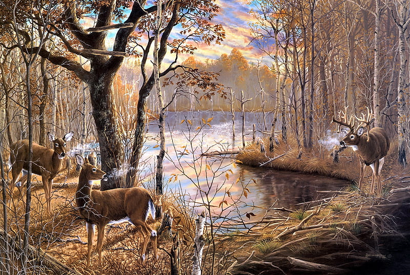 Deers, art, cerb, james kennedy, water, caprioara, painting, pictura, deer, brown, HD wallpaper