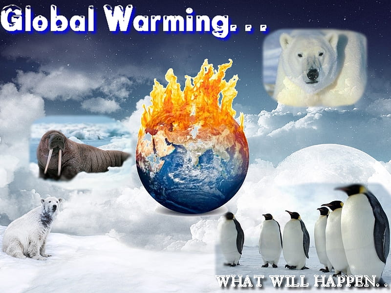 Global warming, no, winterage, winter, font, cool, awesomeness, polar, color, ohshit, iceage, HD wallpaper