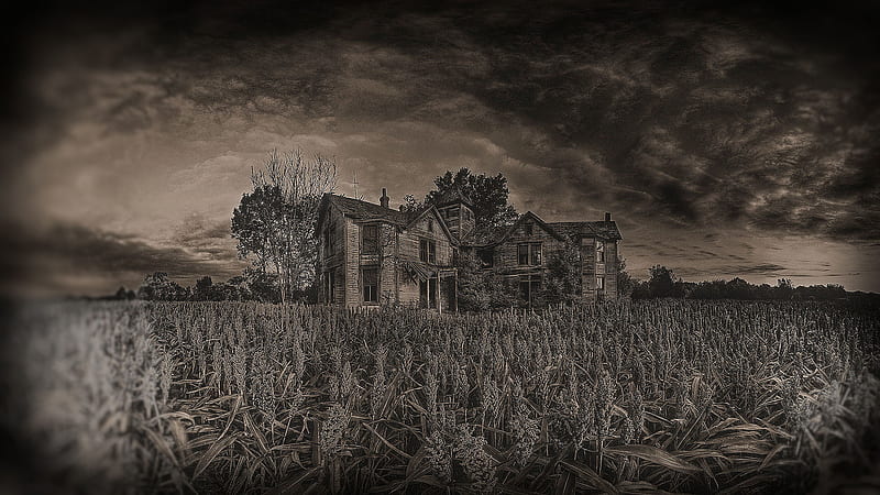 Haunted House, sepia, house, haunted, black and white, old, creepy, thrilling, spooky, dark, scary, hop, field, HD wallpaper