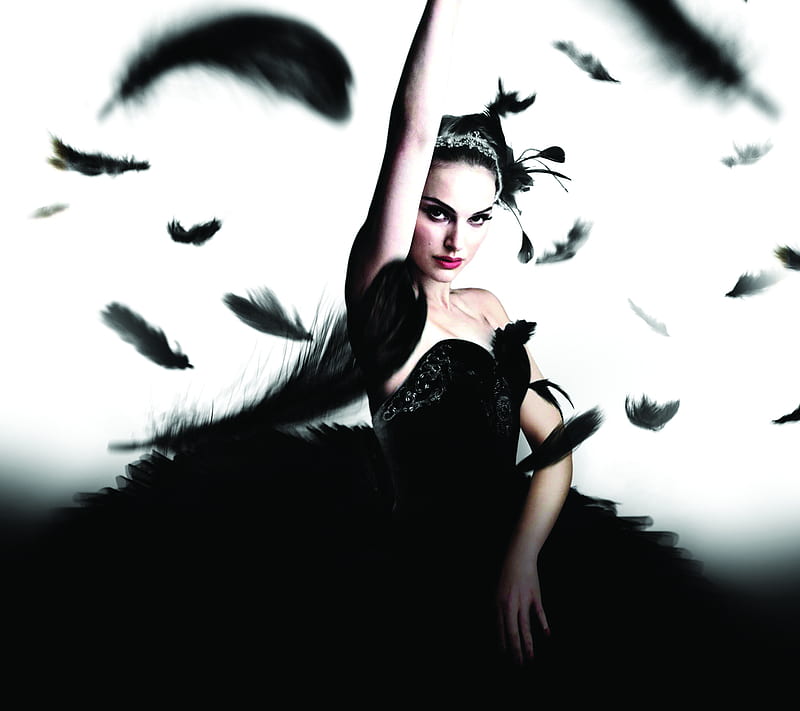 Black Swan, HD wallpaper