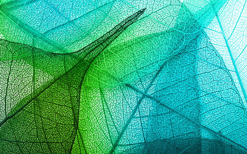 leaf texture, green leaf, green abstraction, 3d green leaf, HD wallpaper