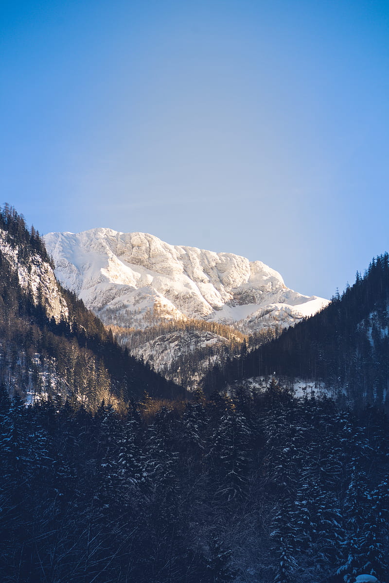 mountains, trees, snow, peak, sky, HD phone wallpaper