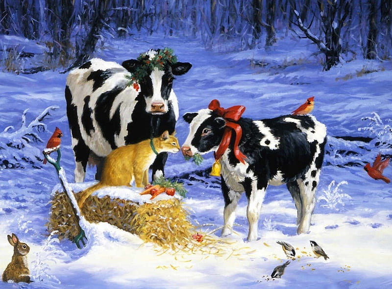 COWS FOR CHRISTMAS, COLD, CHRISTMAS, SNOW, SPIRIT, CALF, CAT, FARM, COW, HD wallpaper