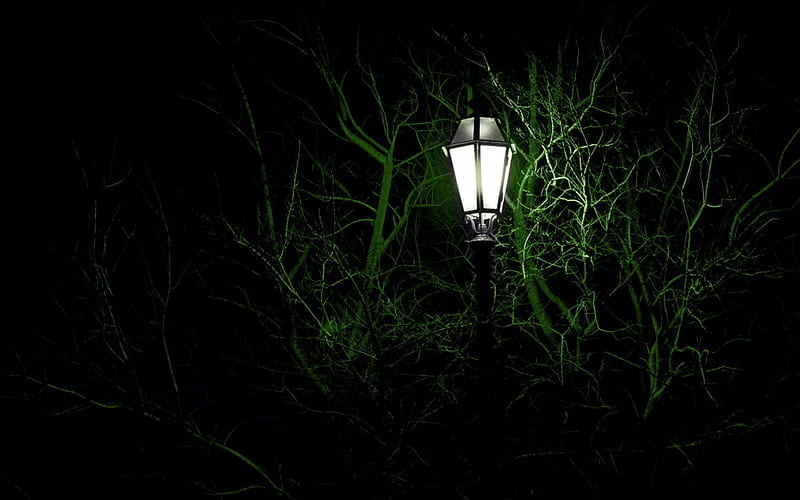 Solitary Light Post, architecture, lamp, trees, street, light, HD wallpaper