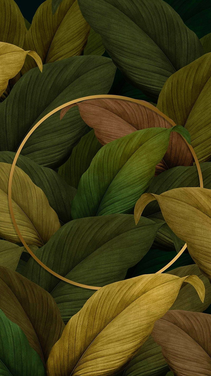 Leaves, circle, full, golden, green, leaf, nature, HD phone wallpaper |  Peakpx