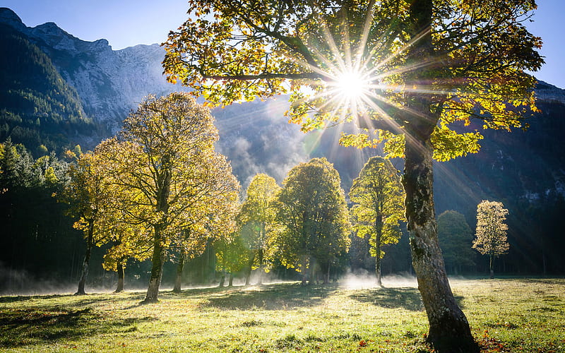 Austria bright sun, beautiful nature, summer, mountains, Alps, Tyrol, Europe, HD wallpaper