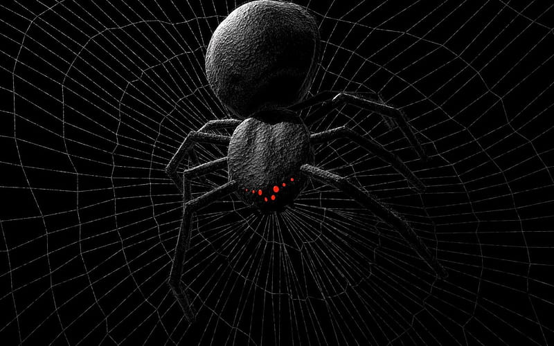 Sat Down Beside You, black, spider, web, dark, HD wallpaper