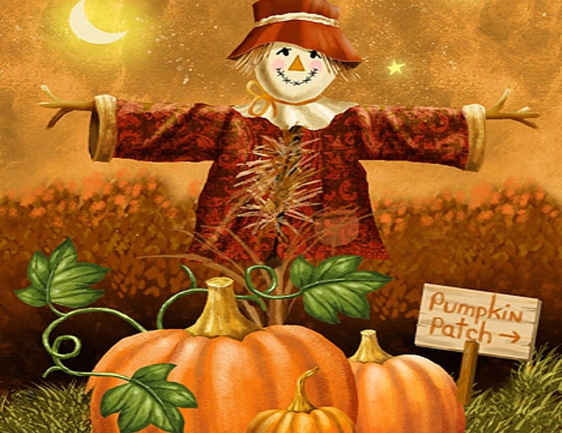 Scarecrow Pumpkins For Sale, For Sale, Moon, Scarecrow, Pumpkins, Orage, Hats, HD wallpaper