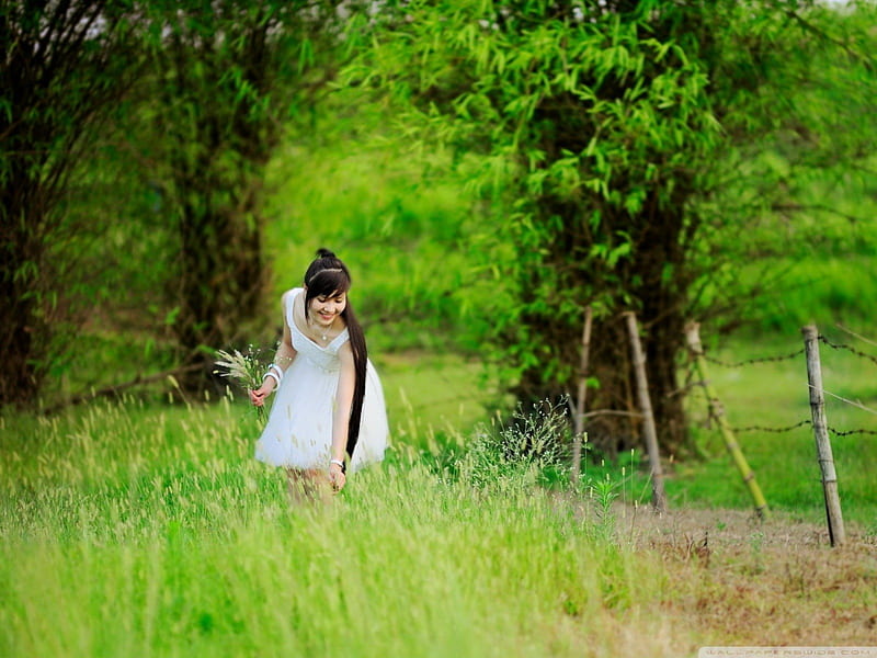 Girl, Green, Grass, Picking, trees, HD wallpaper