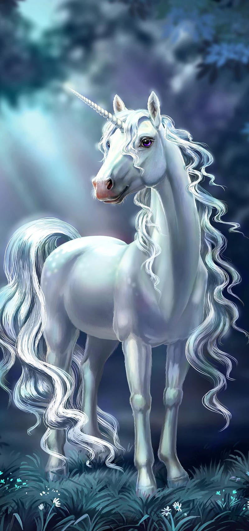 Pastel Unicorn, blue, unicorn, HD phone wallpaper | Peakpx