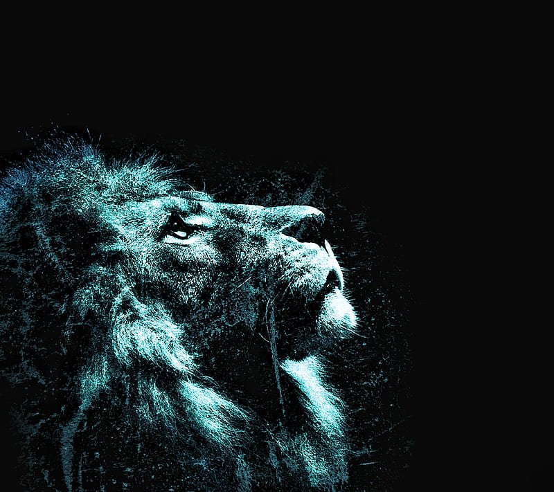 Lion king, dslr, face, king, lion, lions, snapseed, wall, HD wallpaper ...