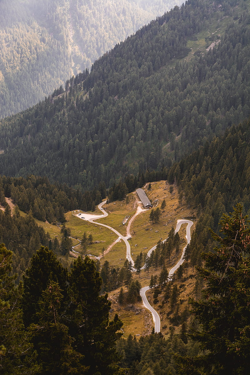 A zigzagging road surrounded by evergreen woods on a hillside in Manghen Pass, HD phone wallpaper
