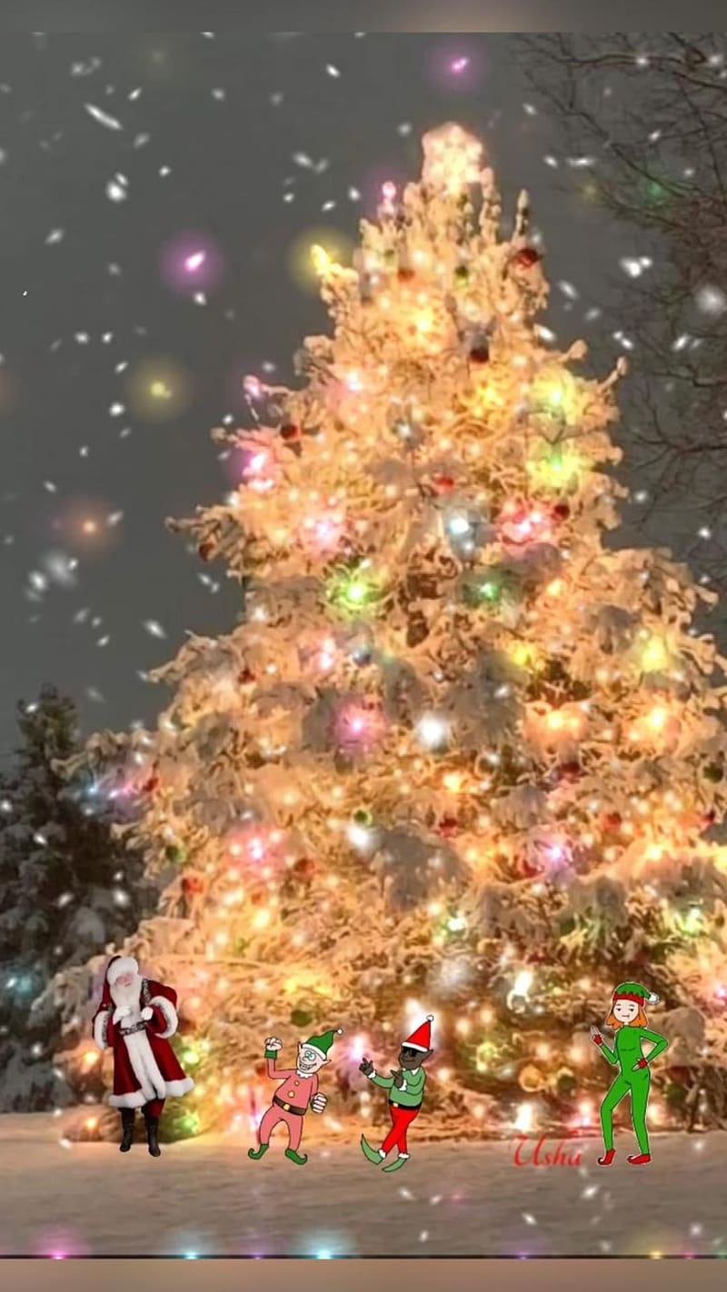 Holly Wood on beautiful in 2022. Beautiful christmas scenes, Christmas  beautiful, HD phone wallpaper | Peakpx