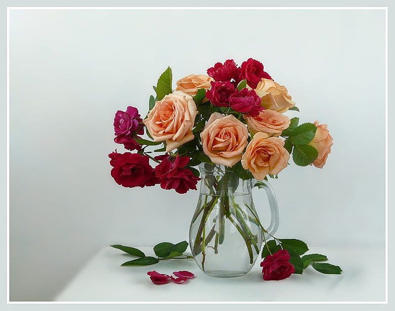 still life rose, vase, bonito, roses, graphy, nice, cool, water, bouquet, flower, jug, flowers, HD wallpaper