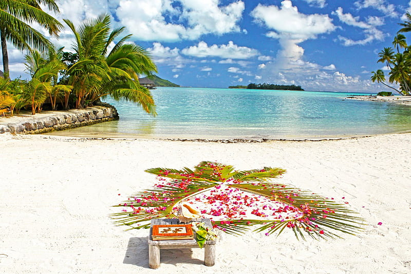 The Perfect White Sand Tropical beach with clear Blue Lagoon and heart shaped flowers Bora Bora Paradise Perfect Island Polynesia, polynesia, resort, reef, sun, french, retreat, palm, atoll, lagoon, beach, aqua, luxury, islands, holiday, ocean, coral, sky, south, water, society, paradise, white, perfect, sea, leaves, sand, polynesian, blue, exotic, clear, peace, escape, waters, alone, island, tropical, HD wallpaper