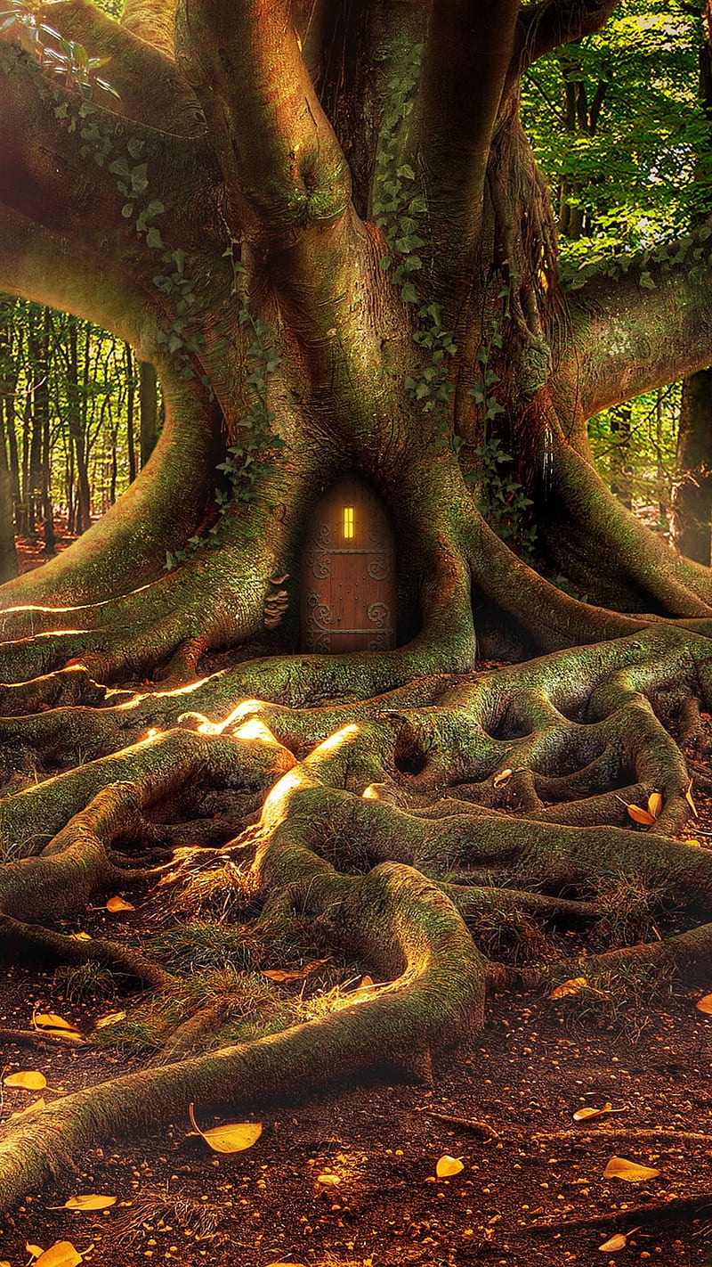 Fantasy Tree Roots , forest, house, HD phone wallpaper