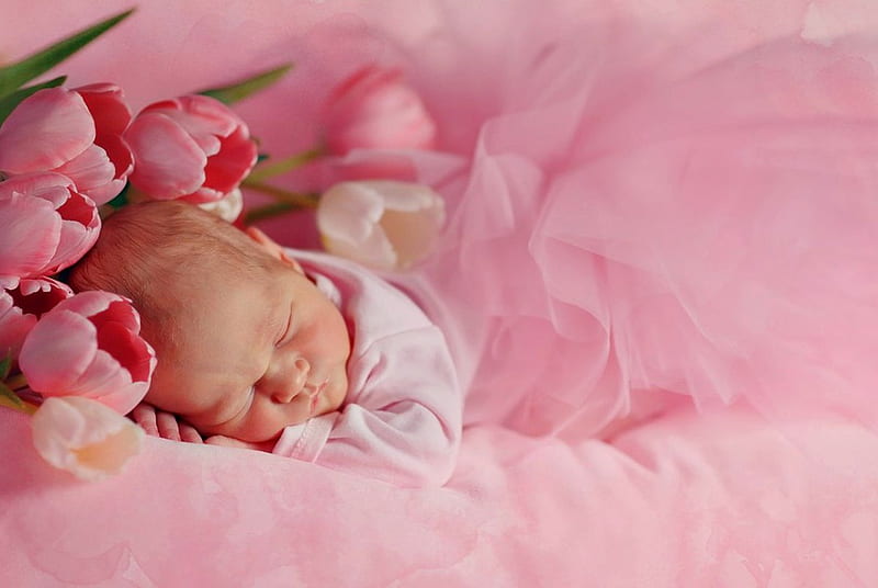 pure love, newborn, baby, sweet, pink tulips, love, tulips, babies, pink, HD wallpaper