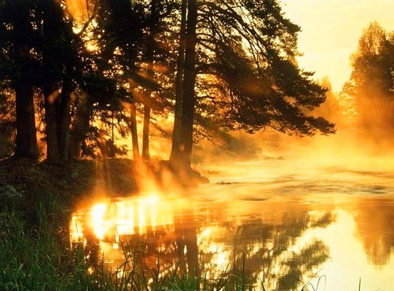 Golden sunrise on the river, sun, magic, fog, bright, beauty, river ...