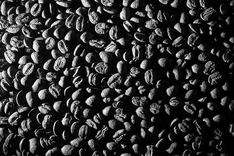 beans, coffee, caffeine, macro, black and white, HD wallpaper