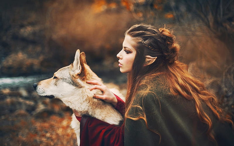 Fantasy Girl, Style, Autumn, Dog, Elf, HD wallpaper