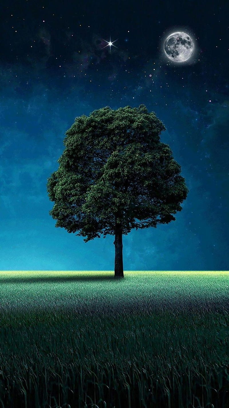 Tree of Life. Fondos de pantalla arboles, Paisaje de fantasía, Ilustración de paisaje, HD phone wallpaper