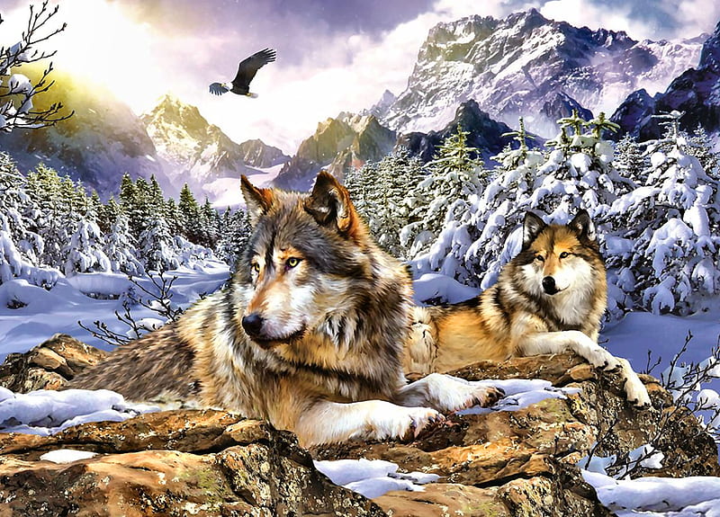 Snow Wolves F, lobo, art, eagle, bonito, artwork, canine, animal, winter, bird, snow, painting, wide screen, wildlife, raptor, wolf, HD wallpaper