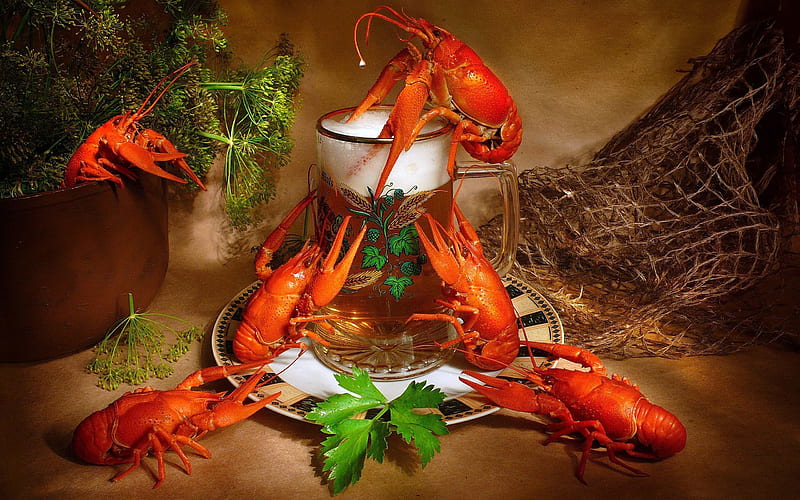 lobsters and beer, beer, net, plant, lobster, HD wallpaper