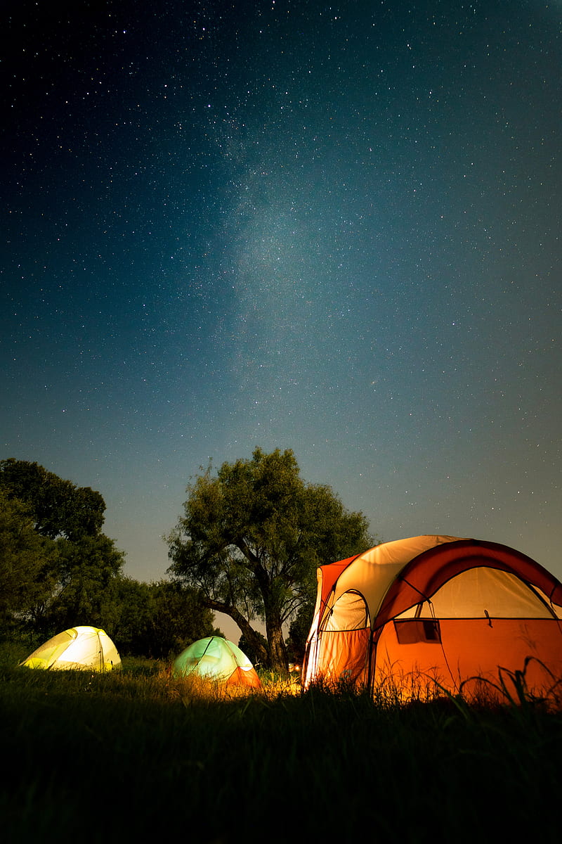 tents, camping, night, nature, dark, HD phone wallpaper