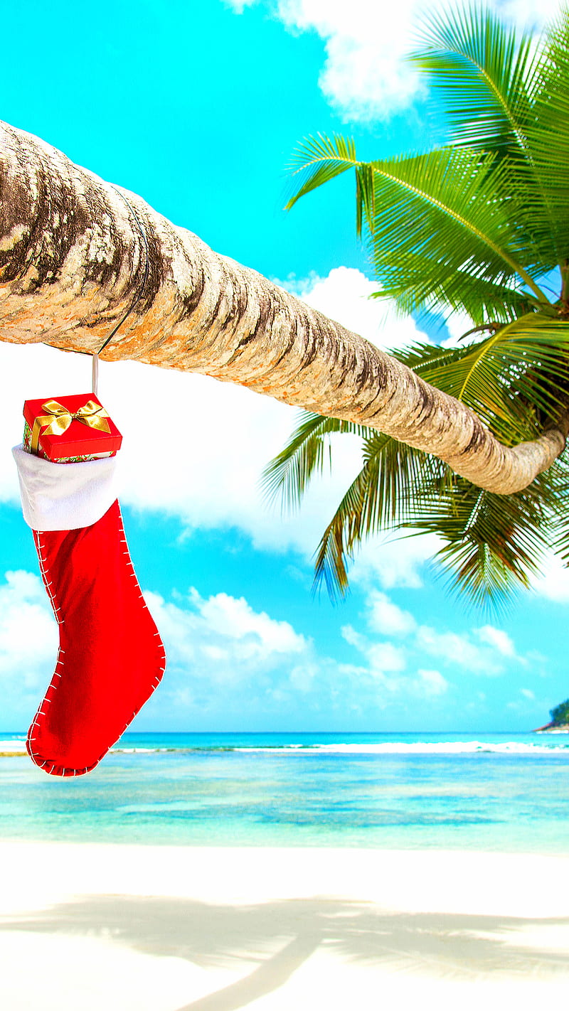 Happy holiday, beach, christmas, holiday, nature, palm, sea, tree, HD phone wallpaper