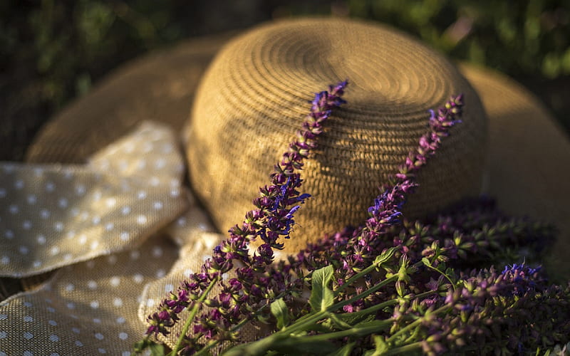 lavender, wicker hat, mood, evening, wildflowers, lavender bouquet, HD wallpaper
