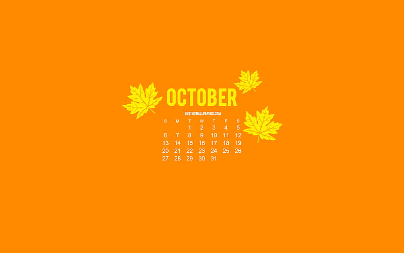 2019 October Calendar, minimalism style, orange background, autumn, 2019 calendars, Orange 2019 October Calendar, creative art, HD wallpaper