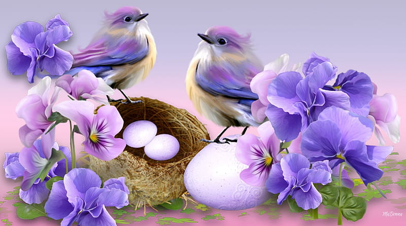 Spring Sensation, birds, soft, spring, lavender, Easter, purple, basket, eggs, pansies, HD wallpaper