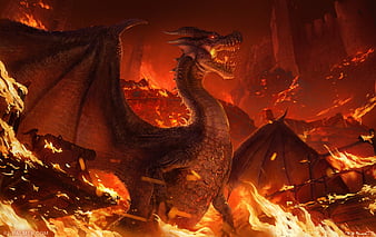 Dragon in Flame Monster Hunter, HD wallpaper