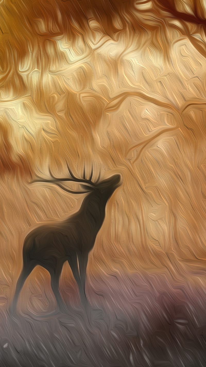 Hirsch Wild Antler Nat, Animals, Carsstoon, Forest, Nature, HD phone wallpaper