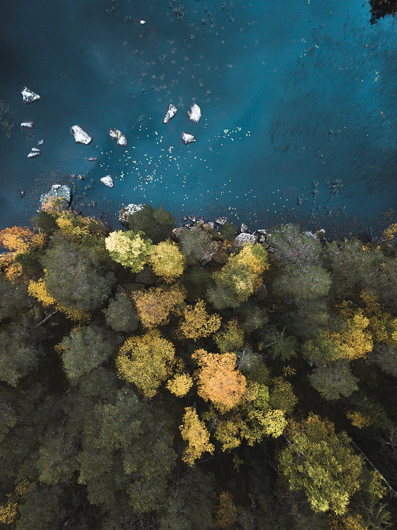 aerial graphy of body of water near trees, HD phone wallpaper