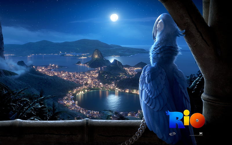 Rio Adventure Rio Movie 02, HD wallpaper