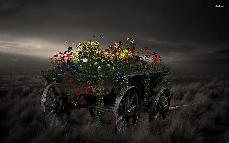 Wagon Full of Flowers, flowers, wagon, wooden, wheels, HD wallpaper