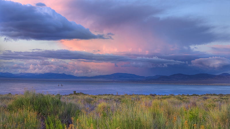 beautiful sky over mono lake in california, shore, grass, clouds, sky, pink, lake, HD wallpaper