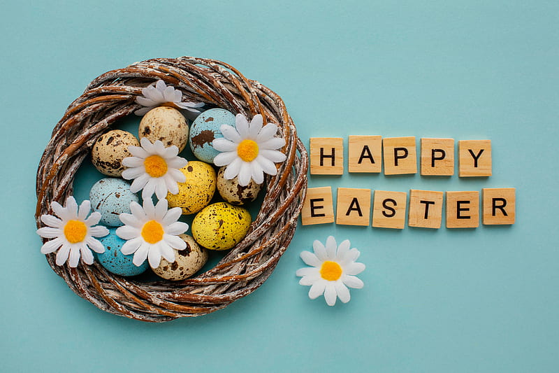 Holiday, Easter, Camomile, Egg, Happy Easter, HD wallpaper