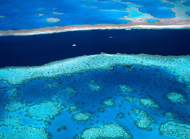 Azure Waters, beauty, tropical, great barrier reef, HD wallpaper